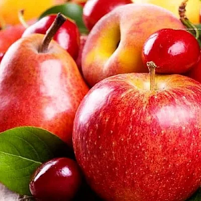 Плодовые деревья в Реутове