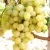 Виноград ТАЛИСМАН в Реутове